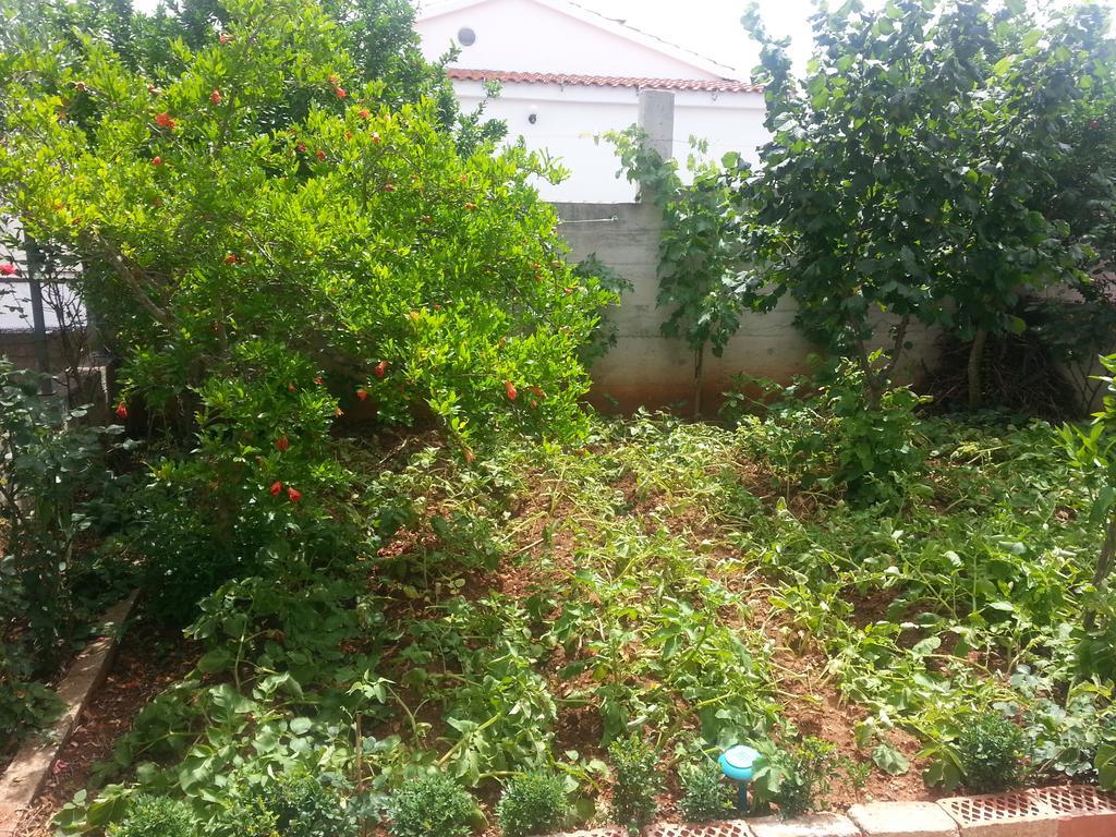 Apartment B&K Raslina Rom bilde